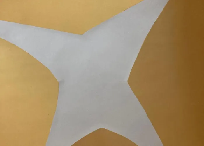 Stanza Uno G. G Conte * Copertino